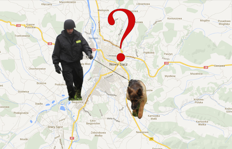 Operacyjne poszukiwania zaginionego mieszkańca Strzeszyna