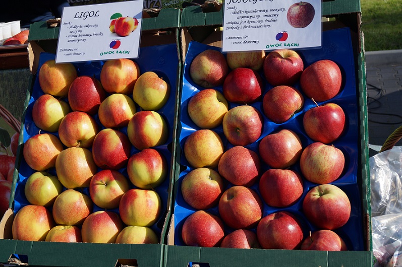 jabłka, przetwórstwo rolne