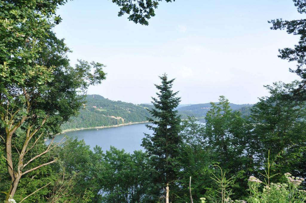 Widok na Jezioro Rożnowskie z ruin Zamku Zawiszy Czarnego