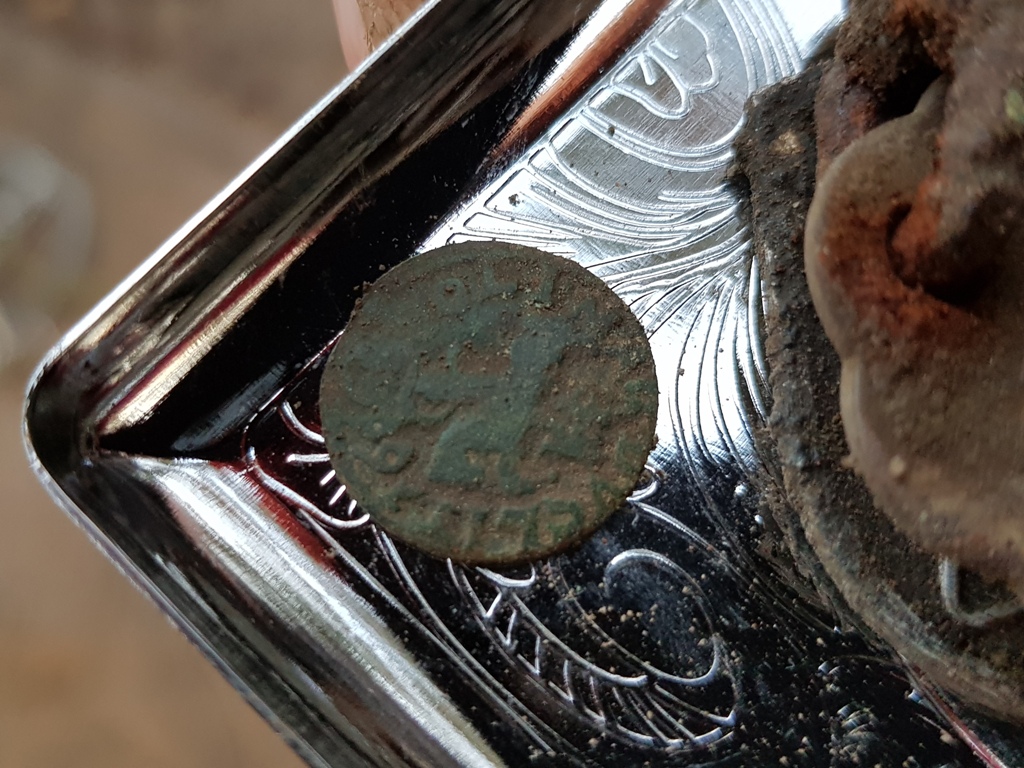 Monety z 1660 roku! Takie skarby kryje ziemia wokół „Przystani”