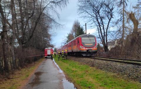Makabryczny wypadek na torach kolejowych. Zginęła młoda kobieta