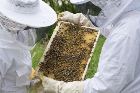 W Barcicach zakończą sezon pszczelarski z nadzieją na lepszą przyszłość