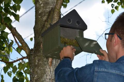 Chrońmy ptaki Nowego Sącza i okolic. Czy wiesz jak zrobić budkę lęgową?