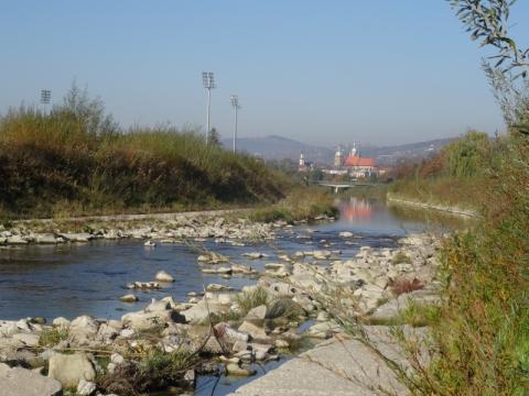 W tym roku ma ruszyć rewitalizacja rzeki Kamienica w Sączu. Będzie więcej pieniędzy