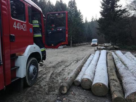 Bugaj: Nieszczęśliwy wypadek podczas wycinki drzew w lesie