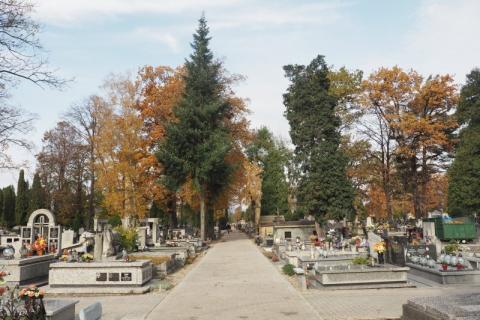 Zmiana organizacji ruchu przy cmentarzach. Fot. Iga Michalec