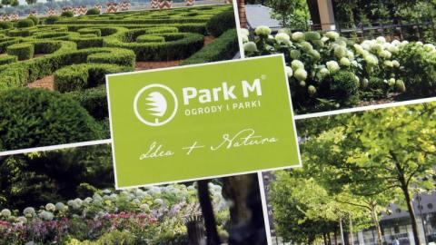 Park – M: kupić sadzonkę to nie wszystko, bo co dalej? [WIDEO]