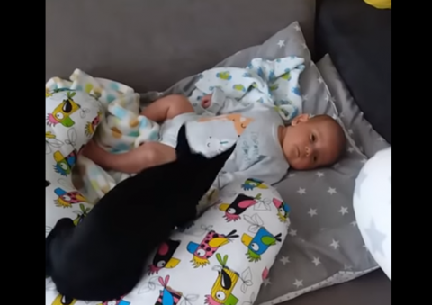 Nowy Sącz: pies ze schroniska otula niemowlę. To najsłodszy filmik w świecie