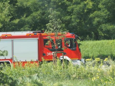 Poszukiwania zaginionego 83-latka trwają. Strażacy przeczesali zarośla nad Dunajcem