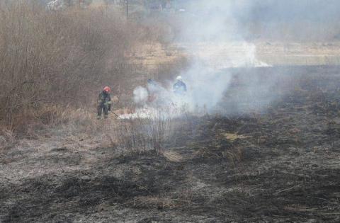 Pożar ścierniska w Zarzeczu. Obyło się bez rannych