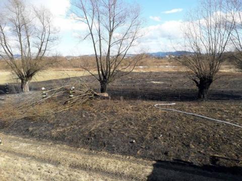 Pożar suchych traw w Białej Niżnej. 70-latka ma poparzone niemal całe ciało