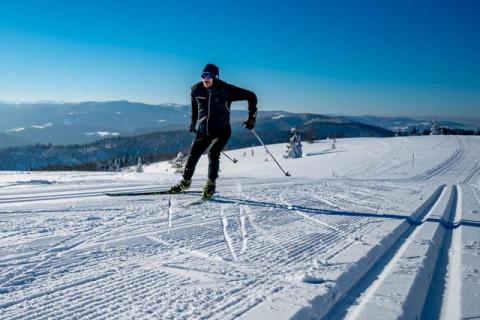 Biegacz narciarski Robert Faron na trasie