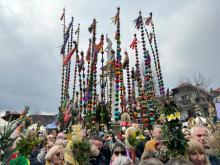 Lipnica Murowana: w 65. Konkursie Palm Wielkanocnych, najstarszym w Polsce - najwyższa palma mierzyła ponad 27 m 
