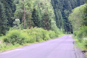 Powroźnik-Tylicz: droga powiatowa w remoncie, będzie zamknięta 12 i 13 maja